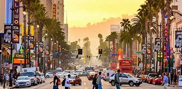 熊猫体育-cozygrove召猫盒攻略